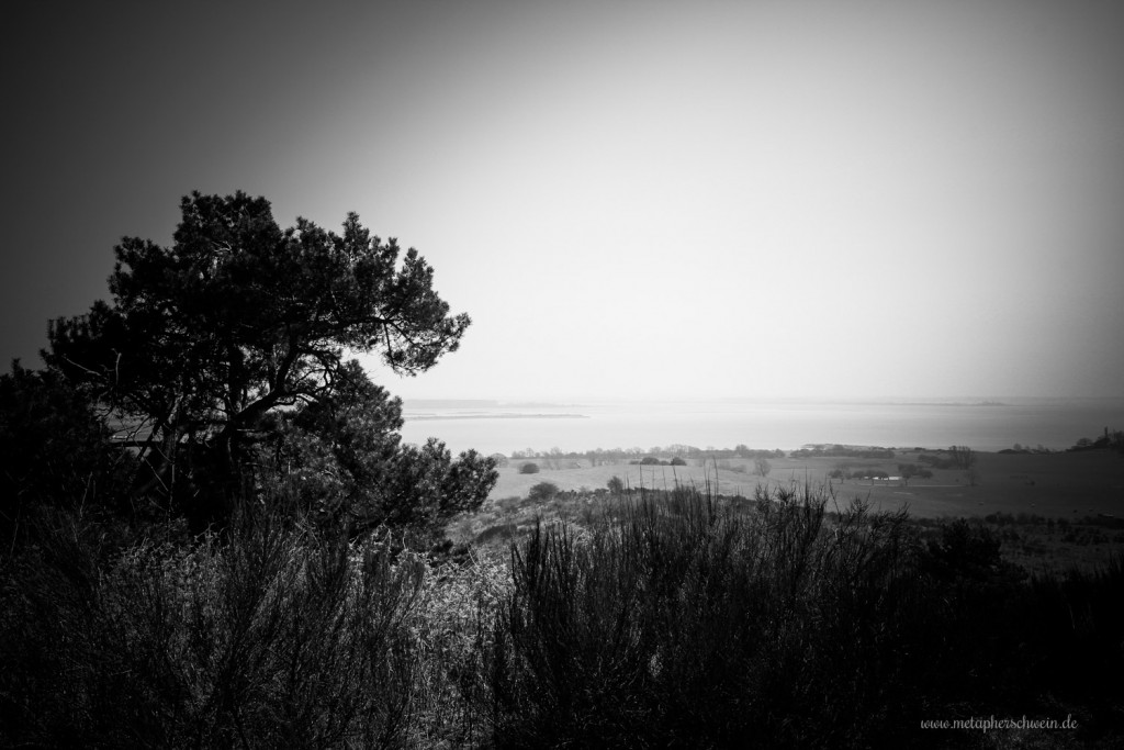 Blick von Hiddensee nach Schaprode