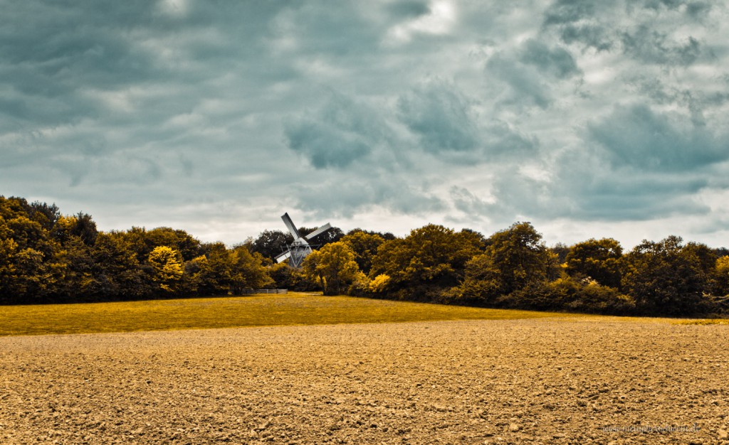 Das Freilichtmuseum in Detmold, Landschaft mit Windmühle - Fotograf metapherschwein.de