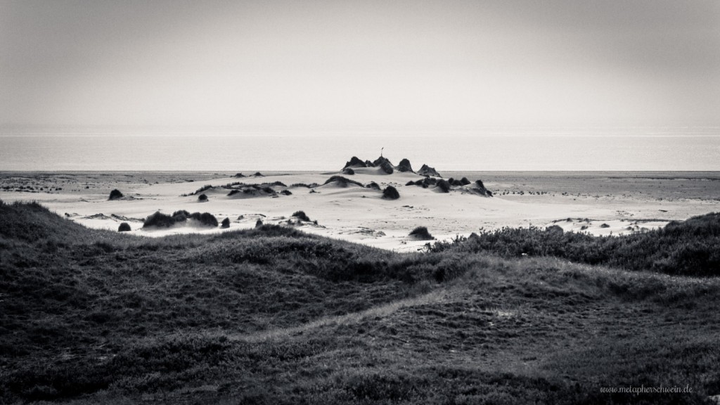 Naturschutzgebiet Dünenlandschaft auf der Insel Amrum