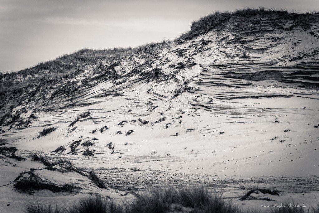 Dünenlandschaft auf der Insel Amrum