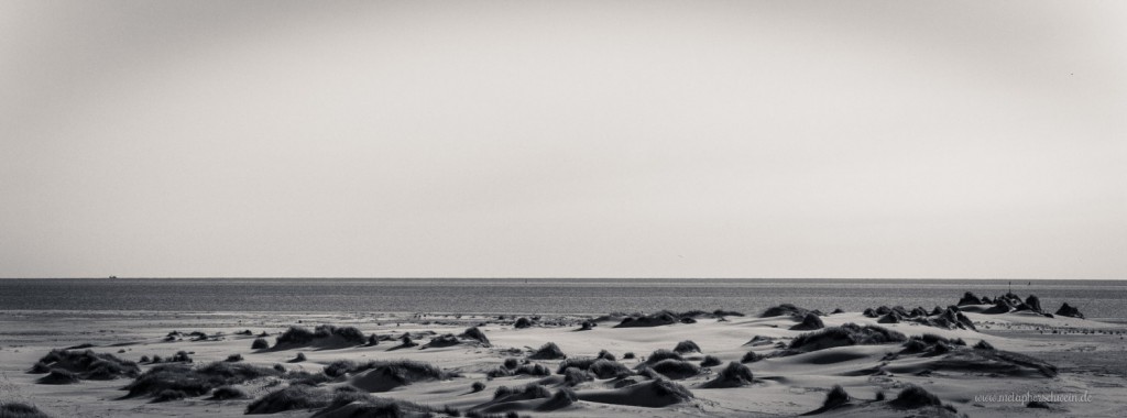 Dünenlandschaft und Wattenmeer auf der Insel Amrum