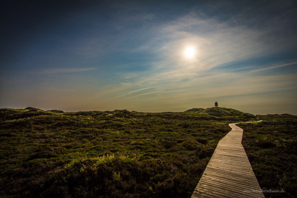 Romantische Dünenlandschaft auf der Insel Amrum