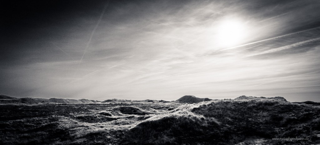 Dünenlandschaft auf der Insel Amrum