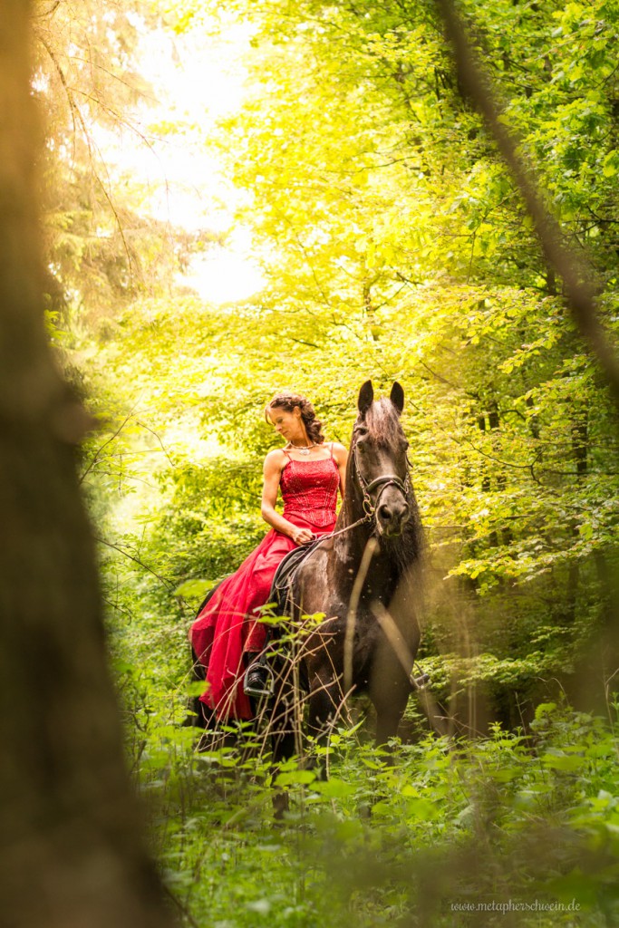 Eine eindrucksvolle Erscheinung mitten im Wald von Dehmkerbrock