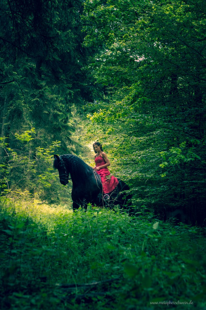 Zausels Geduld beim Fotoshooting wird mit Möhren und Leckerlis belohnt