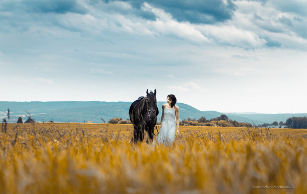 Als ob Tina und Zausel der Friesenhengst in die Landschaft gehören