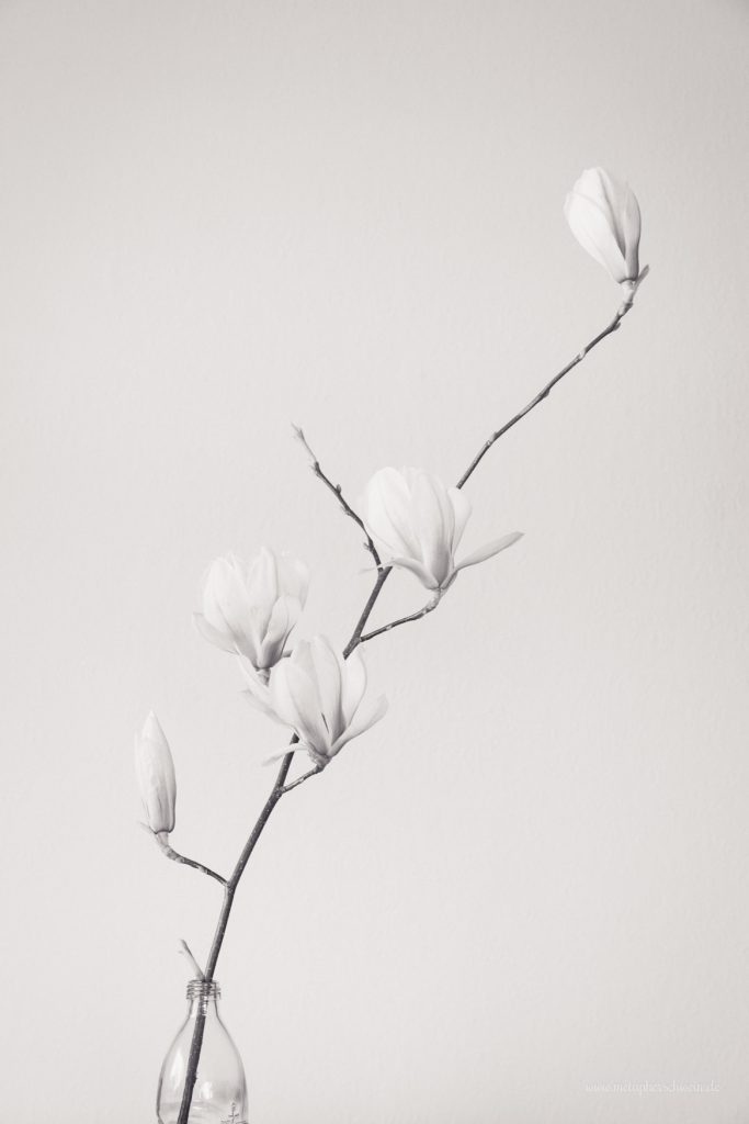 Aus der Serie „Simple Mag“ Bild II 2016 | © Michael Eichhorn