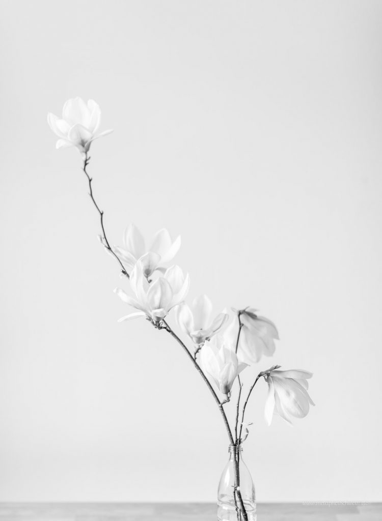 Aus der Serie „Simple Mag“ Bild V 2016 | © Michael Eichhorn