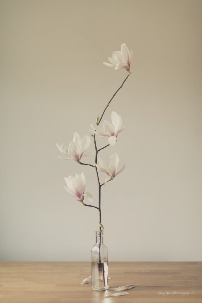Aus der Serie „Simple Mag“ Bild VII 2016 | © Michael Eichhorn