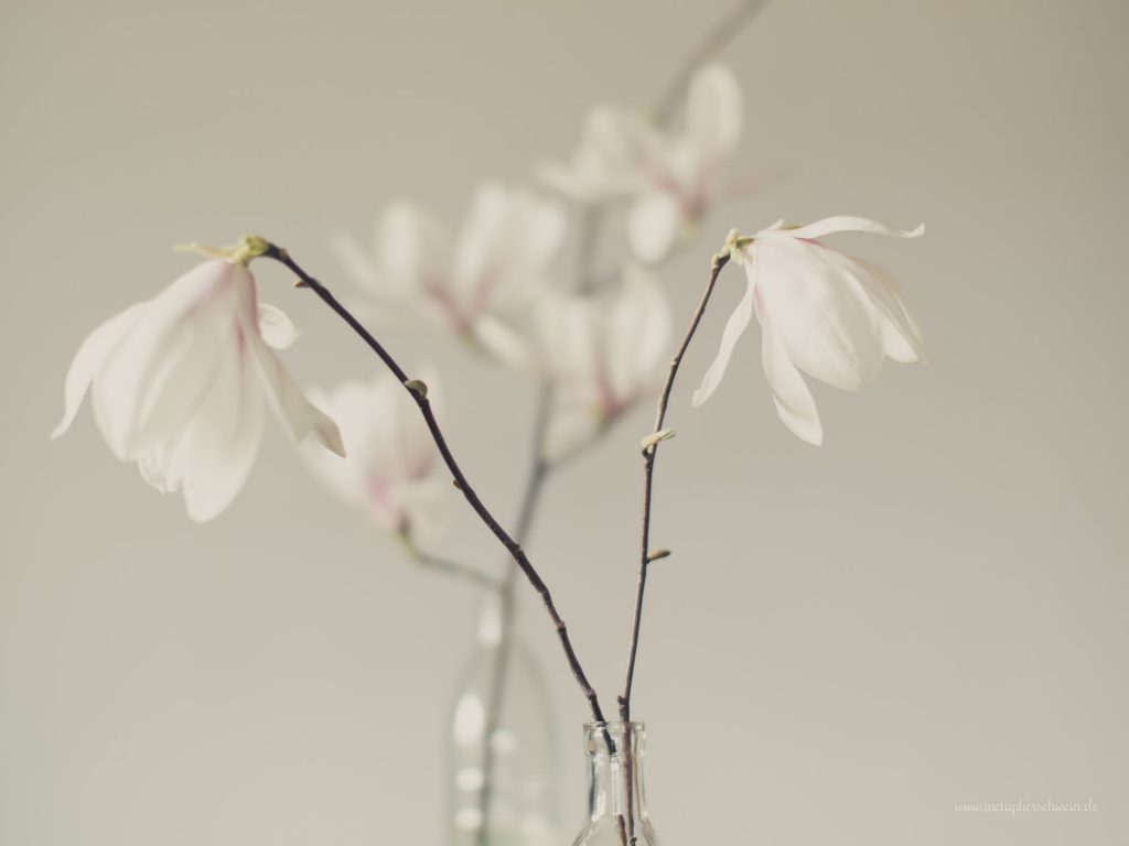 Aus der Serie „Simple Mag“ Bild VIII 2016 | © Michael Eichhorn