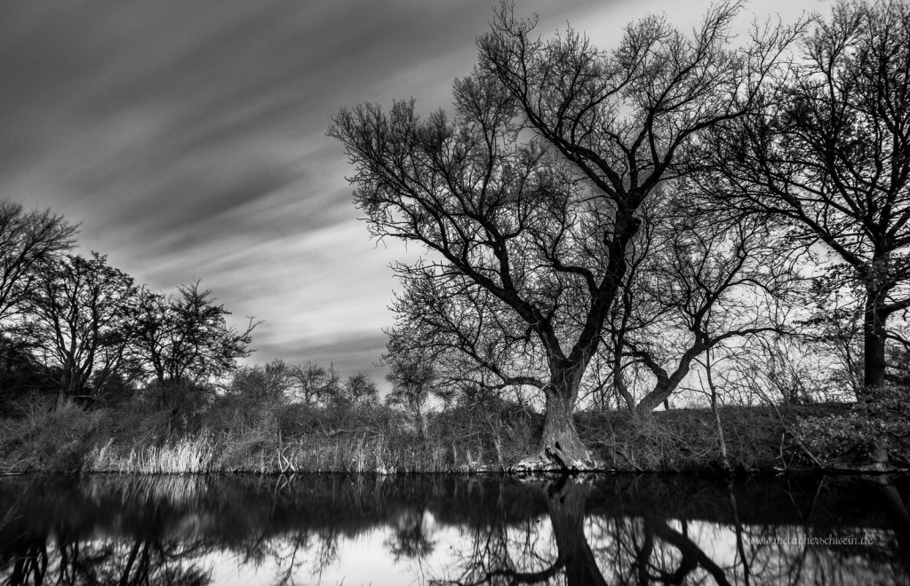 Der alte Elbarm „Rote Grube“ nähe Ammelgoßwitz bei Belgern wird vom Staritzer Bach gespeist| www.metapherschwein.de, © 2015 Michael Eichhorn