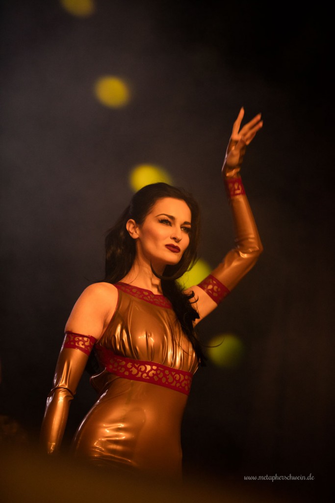 In Strict Confidence auf dem Autumn Moon Festival 2015 in Hameln | www.metapherschwein.de