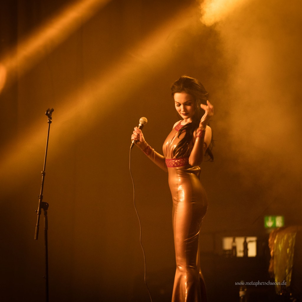 In Strict Confidence auf dem Autumn Moon Festival 2015 in Hameln | www.metapherschwein.de