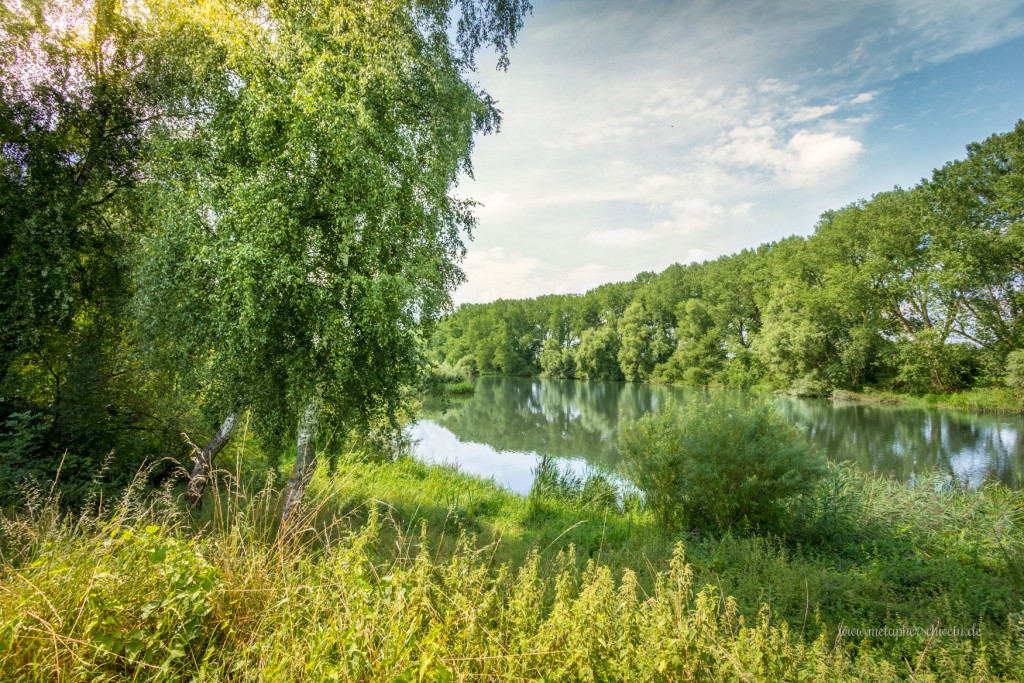 Naturschutzgebiet im nördlichen Doktorsee bei Rinteln