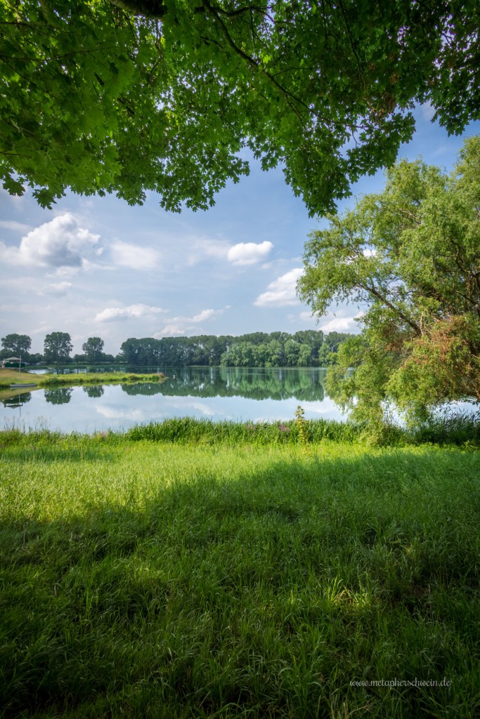 Blick zum mittleren Bereich des Rintelner Doktorsees, hier ist das Paradies für Camper